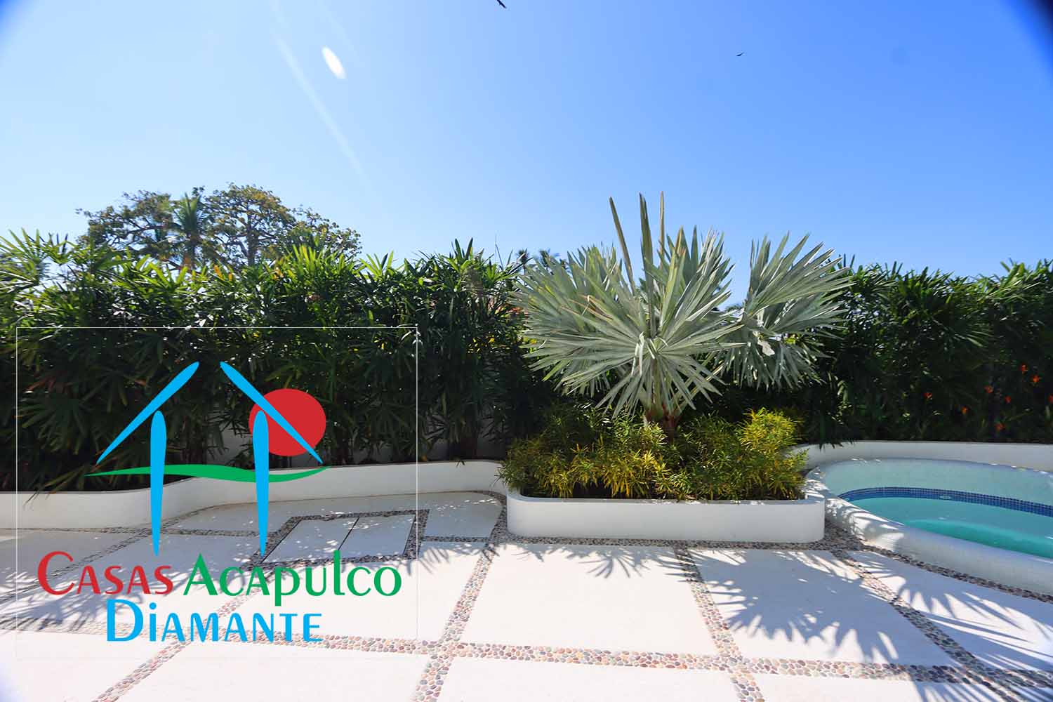 Casa Medusa - Terraza y alberca 4